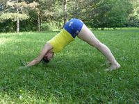 adho-mukha-svanasana-1