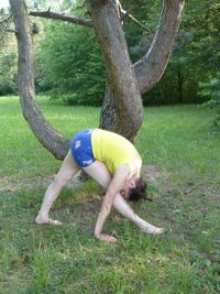 parsvottanasana-1