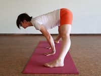 prasarita-padottasana-seit-wo