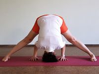 prasarita-padottasana-unten-wo