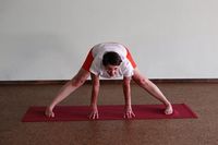 prasarita-padottasana-wo