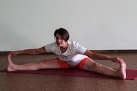 upavistha-konasana-wo